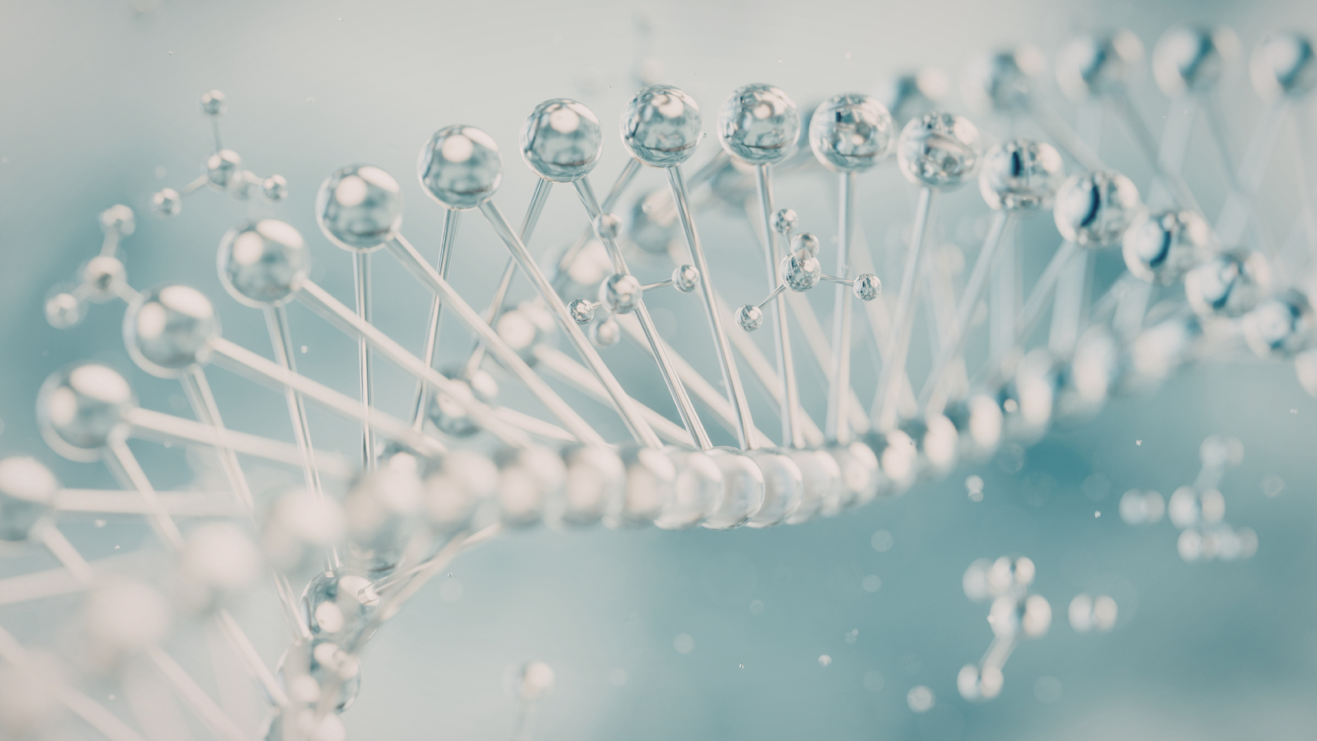 Blog Post Dualup (5)